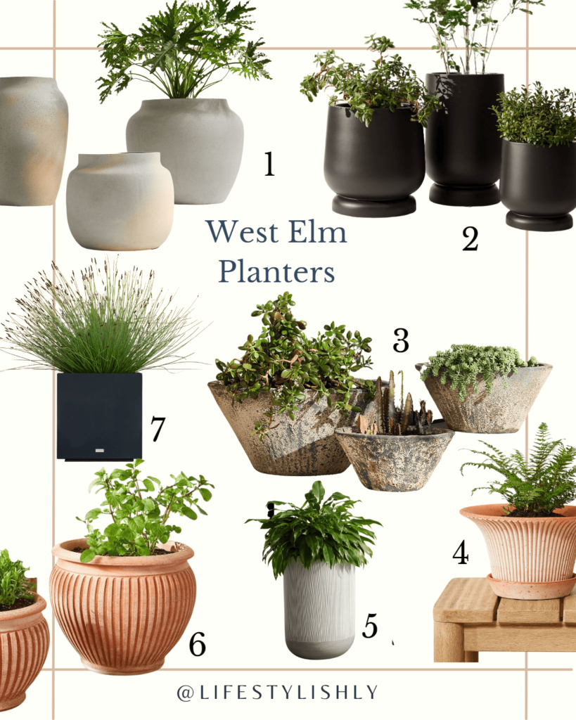 An elegant collage of West Elm's planters, displaying their unique designs and material variety, ideal for enhancing any outdoor space.