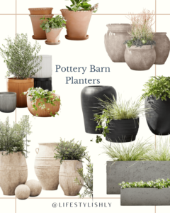 A collage of Pottery Barn's versatile and high-quality planters, reflecting a range of sizes and designs that can transform any patio into a lush retreat.