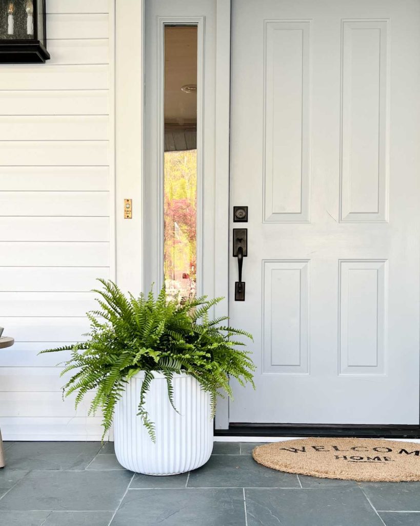 Walmart fluted white resin planter, with a summery green fern set against a white house and gray front door on a charming front porch.
